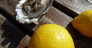 Grote oester met citroen